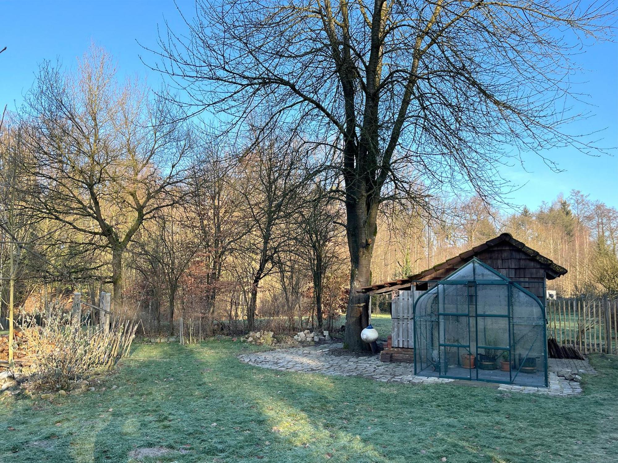Gruen In Gruen Appartement Detmold Buitenkant foto